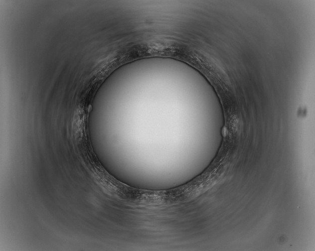 X0000100320914200806121100