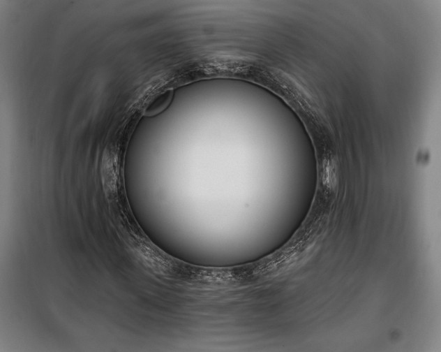 X0000100320915200806121100