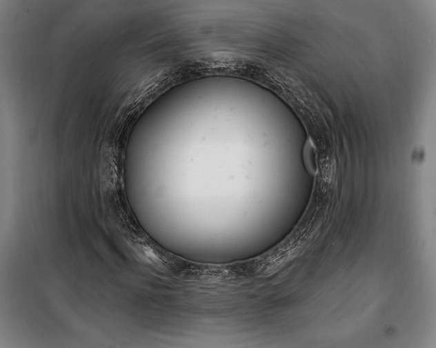 X0000100320916200806121100