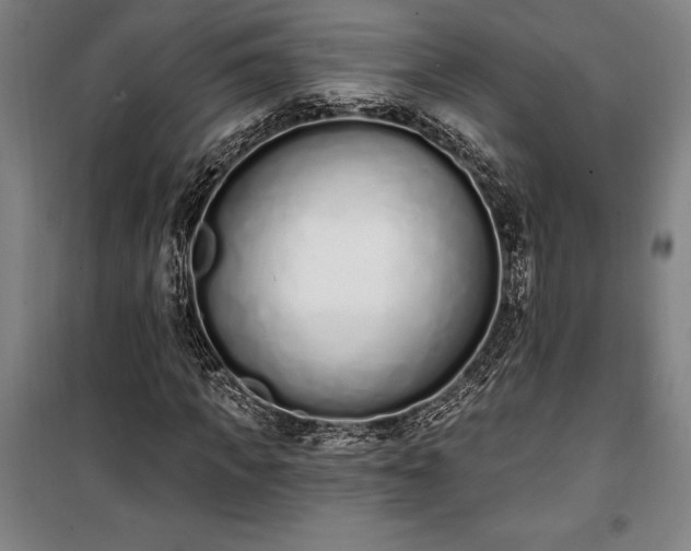 X0000100320917200806121100