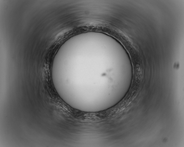 X0000100320918200806121100