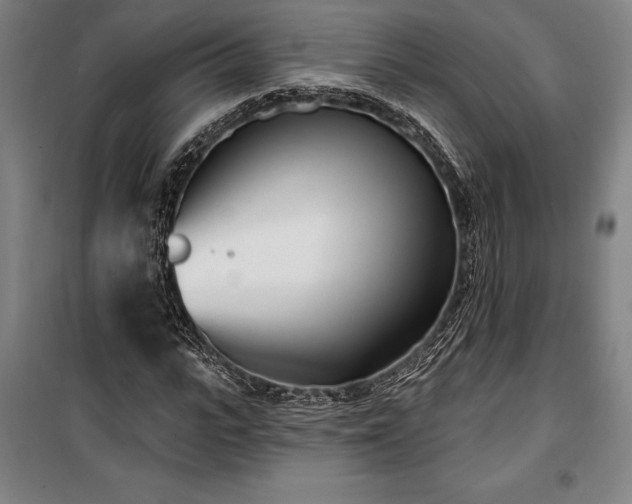 X0000100320919200806121100