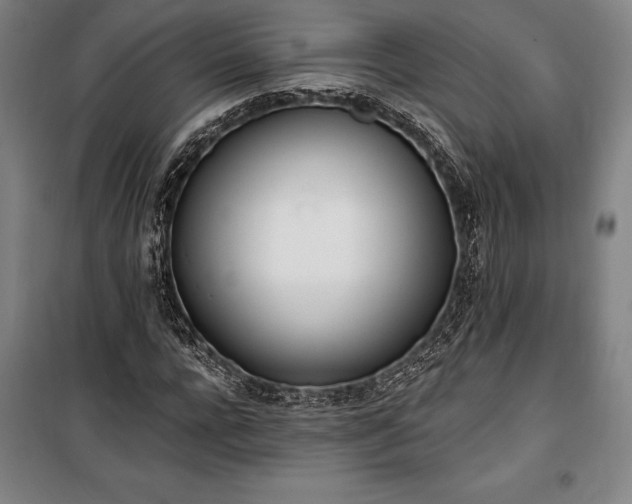 X0000100320920200806121100