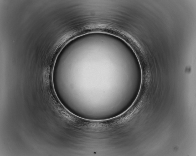 X0000100320921200806121100