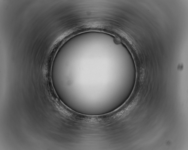 X0000100320922200806121100