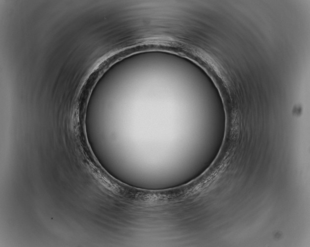 X0000100320923200806121100