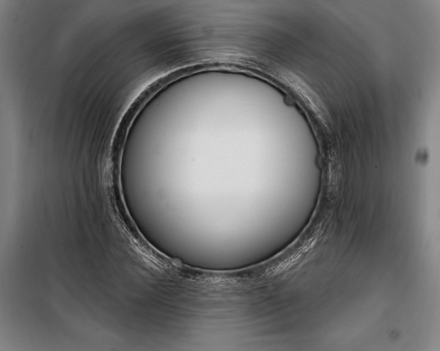 X0000100320924200806121100