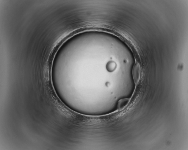 X0000100320925200806121100