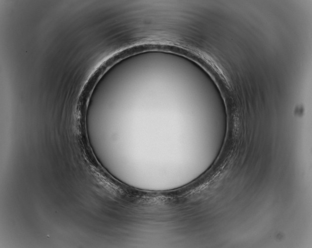 X0000100320926200806121100