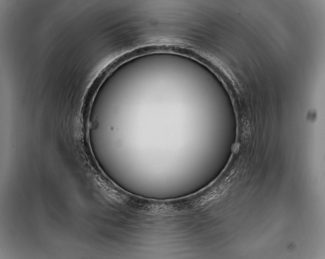 X0000100320927200806121100