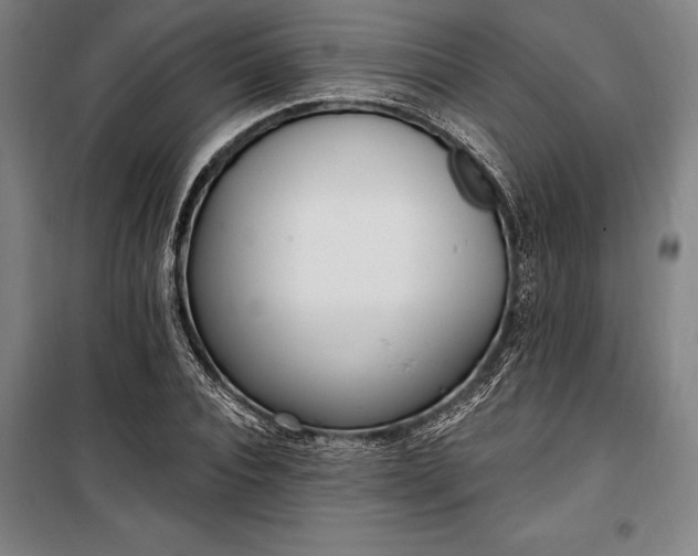 X0000100320928200806121100