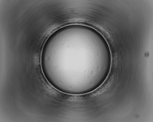 X0000100320929200806121100