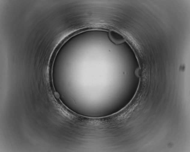 X0000100320932200806121100