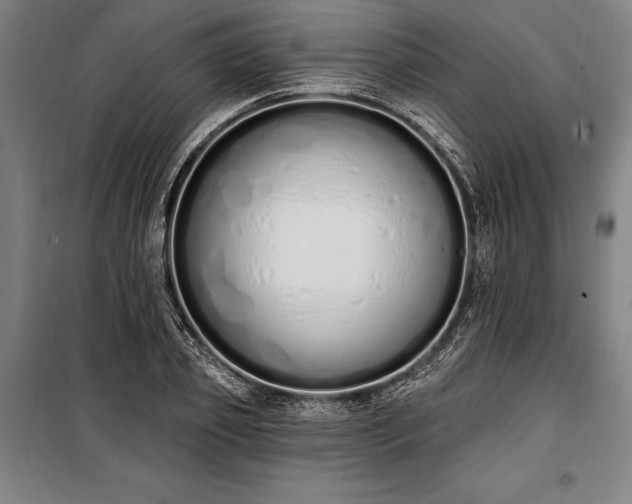 X0000100320933200806121100