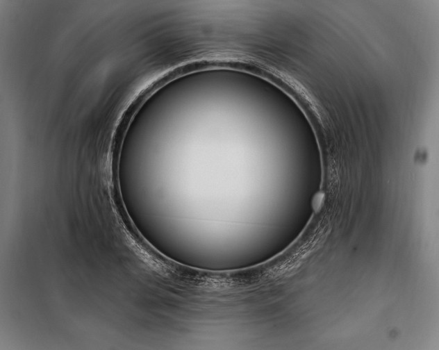 X0000100320935200806121100