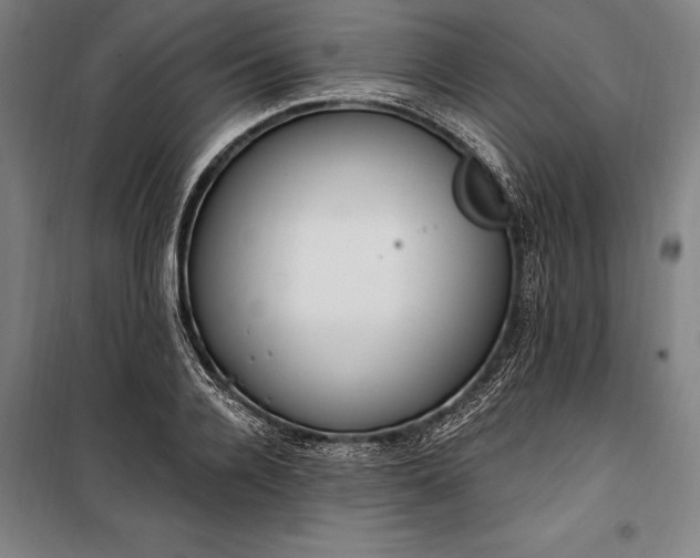 X0000100320936200806121100