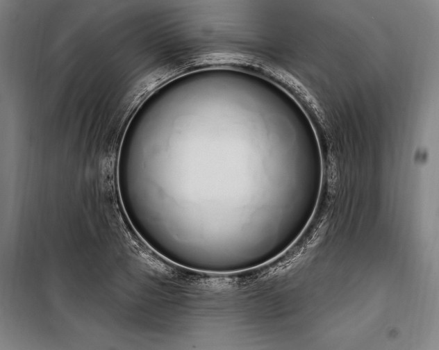 X0000100320937200806121100