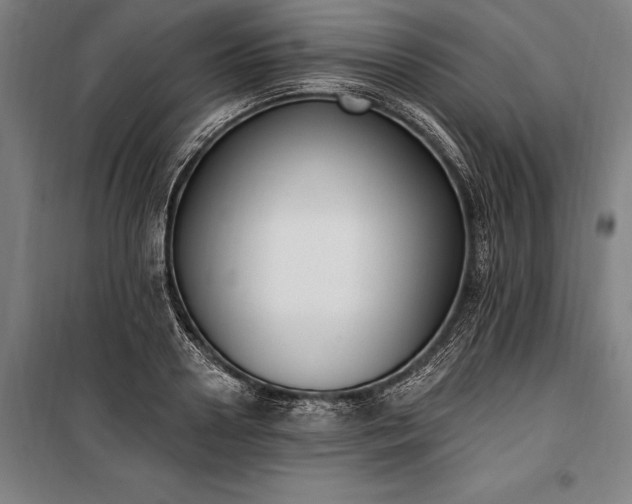 X0000100320938200806121100