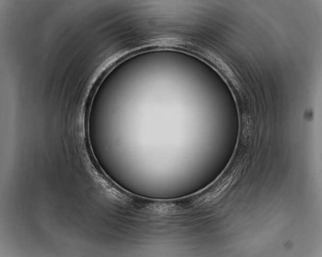 X0000100320939200806121100