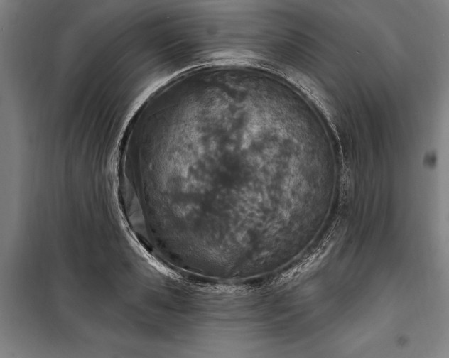 X0000100320941200806121100