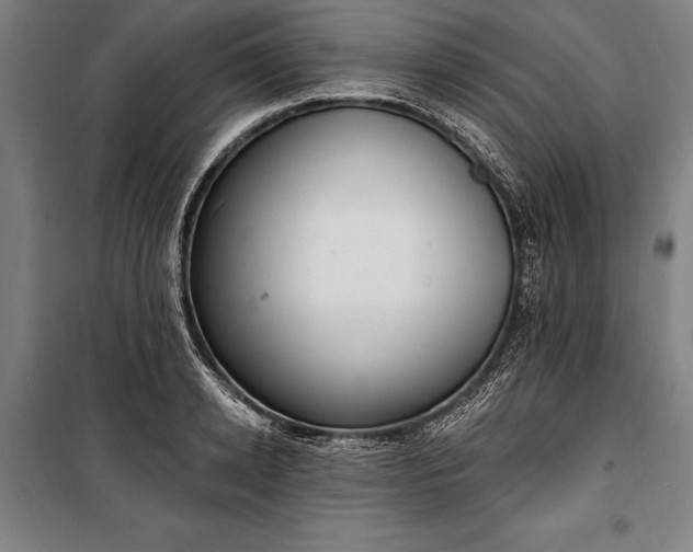 X0000100320942200806121100