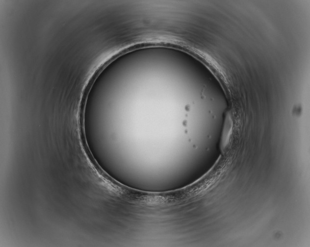 X0000100320943200806121100