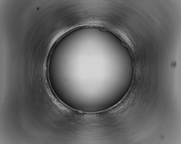 X0000100320944200806121100