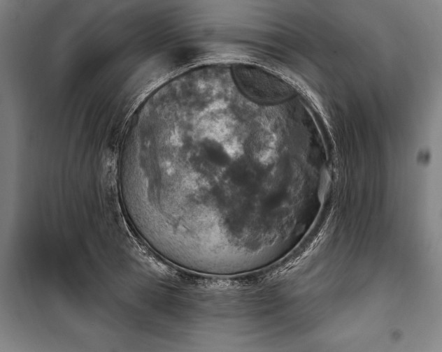 X0000100320945200806121100