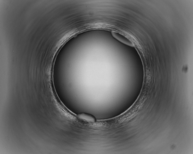 X0000100320946200806121101