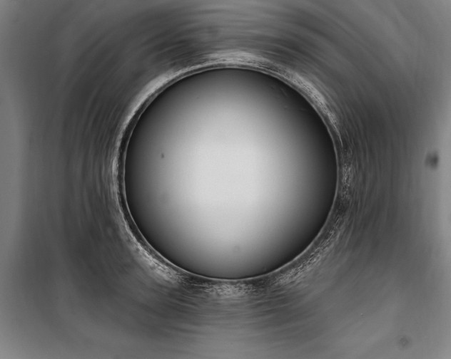 X0000100320947200806121101