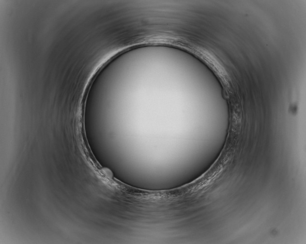 X0000100320948200806121101