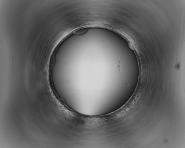 X0000100320949200806121101