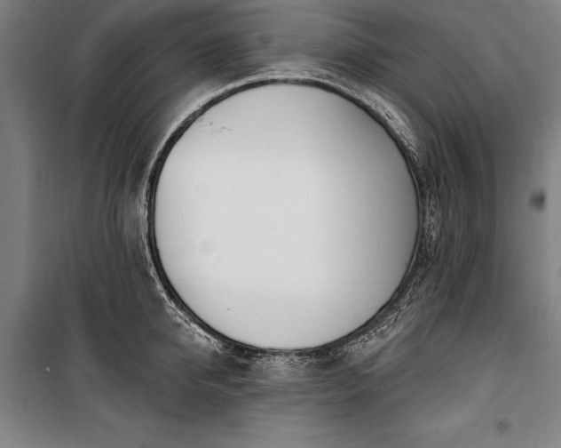 X0000100320950200806121101