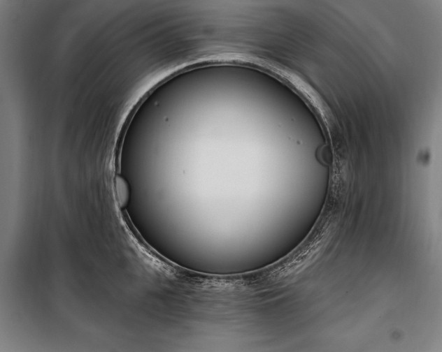 X0000100320951200806121101