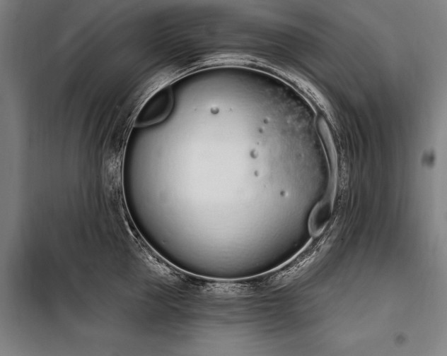 X0000100320953200806121101