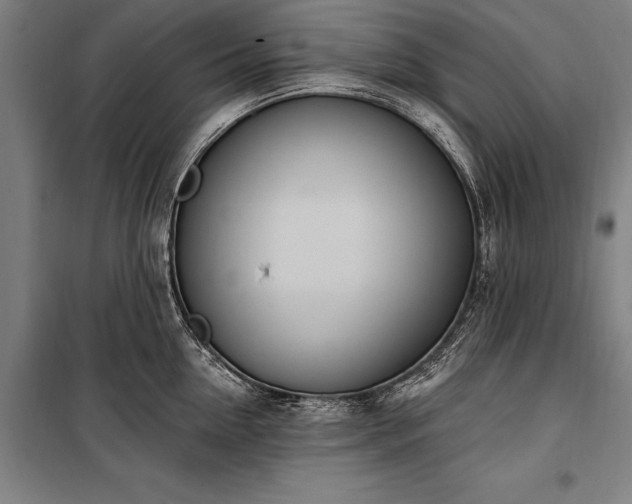 X0000100320954200806121101