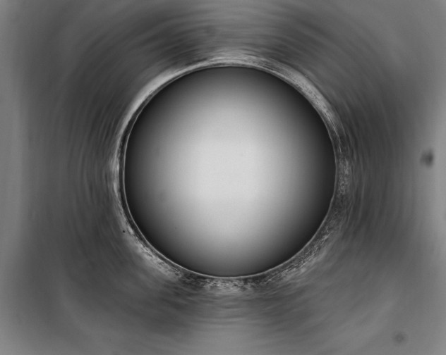 X0000100320955200806121101