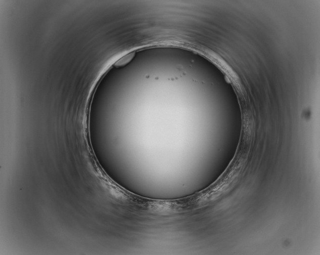 X0000100320956200806121101