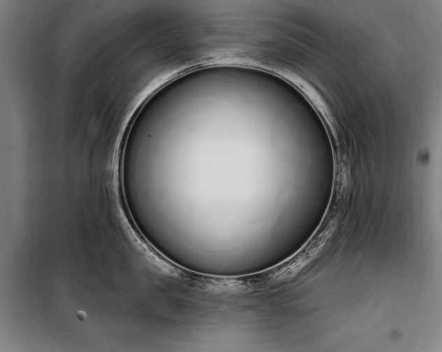 X0000100320957200806121101