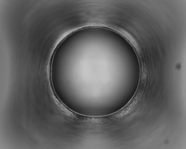 X0000100320958200806121101