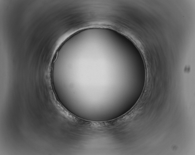 X0000100320960200806121101