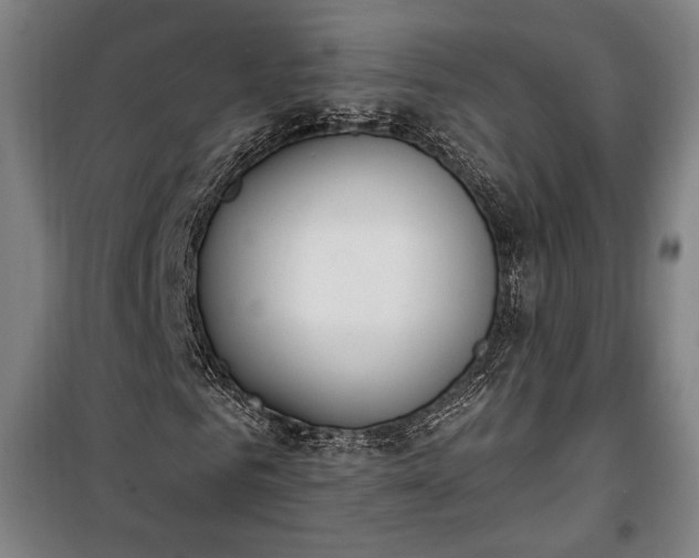 X0000100320961200806121100