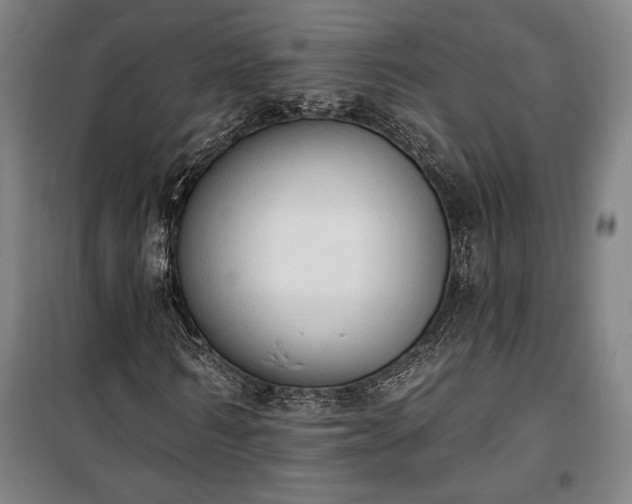 X0000100320962200806121100