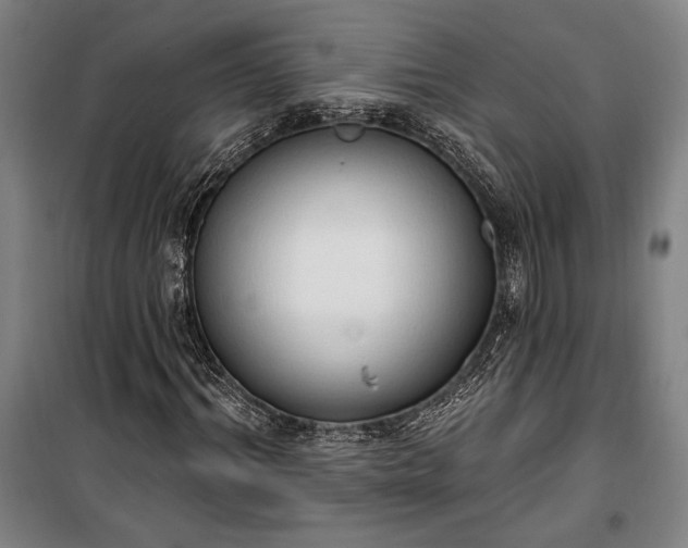 X0000100320964200806121100