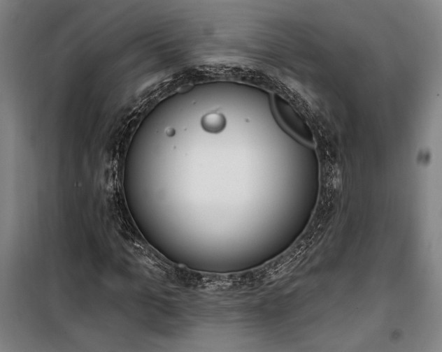 X0000100320965200806121100