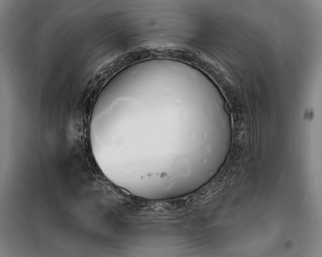 X0000100320966200806121100