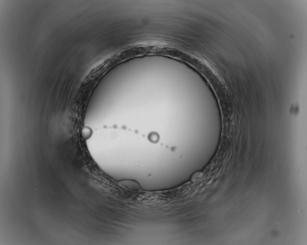 X0000100320967200806121100