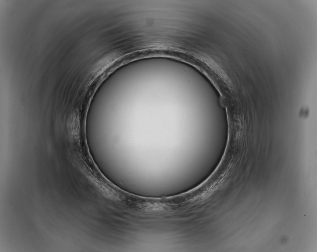 X0000100320969200806121100