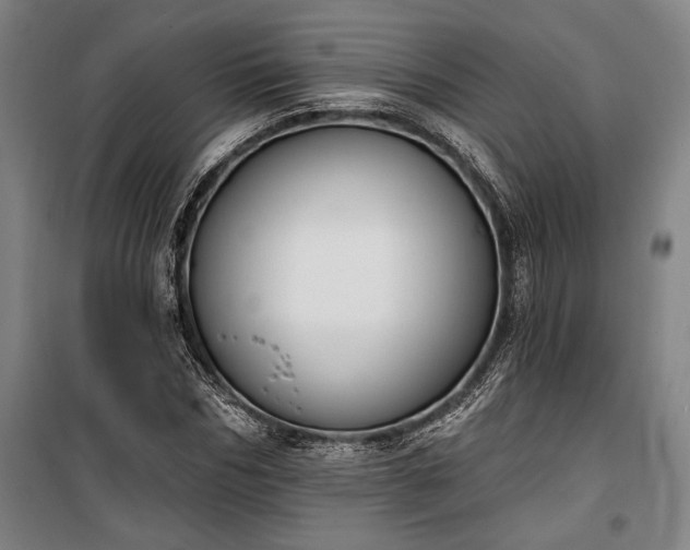 X0000100320970200806121100