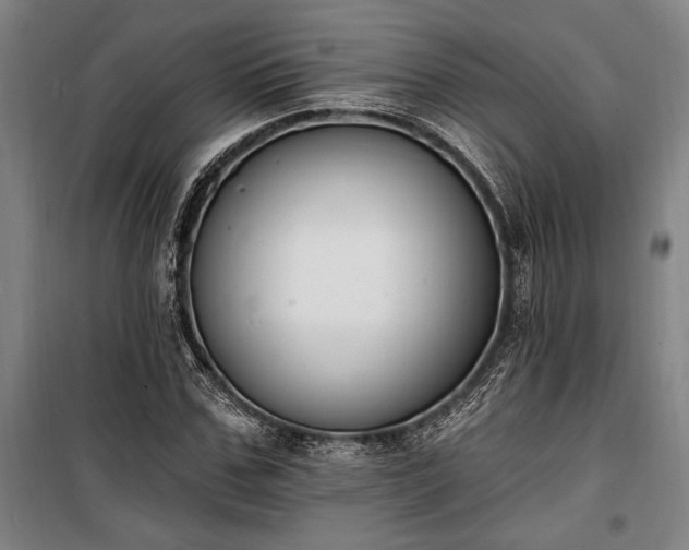 X0000100320971200806121100